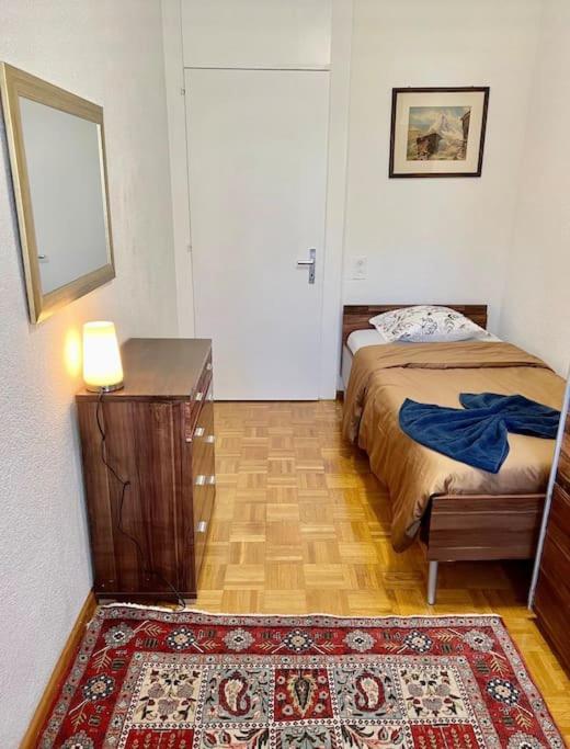 Appartement 7,0 Pieces 3 Chambres Proximite Aeroport جنيفا المظهر الخارجي الصورة
