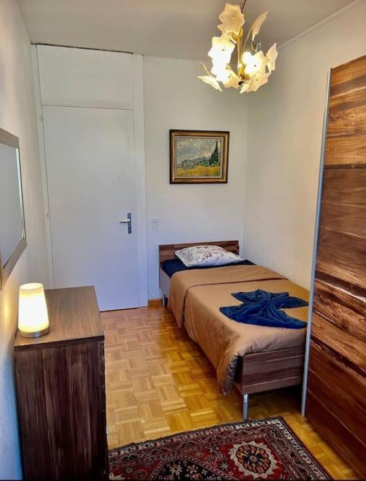 Appartement 7,0 Pieces 3 Chambres Proximite Aeroport جنيفا المظهر الخارجي الصورة